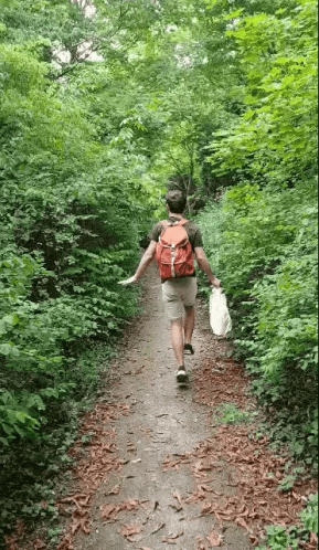Forest Alone Happy Walk GIF