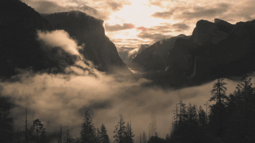 Forest Beautiful Sky Mountains GIF