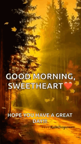 Forest Good Morning Sweetheart Hope You Have A Great Day GIF