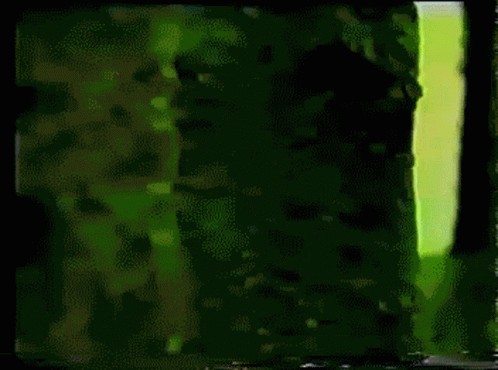 Forest Immortal Black Metal GIF