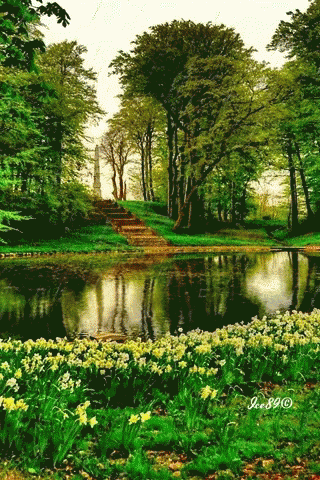 Forest Nature Park GIF