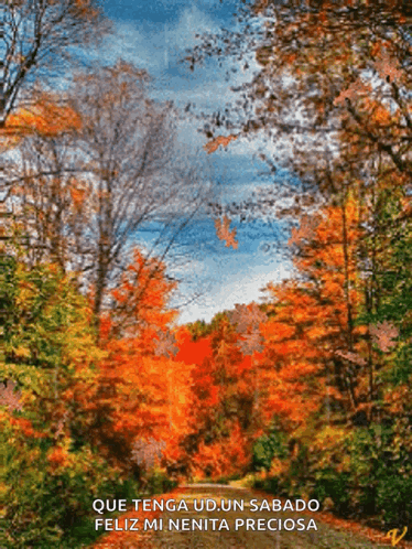 Forest Painting Que Tenga Ud Un Sabado Feliz Mi Nenita Preciosa GIF