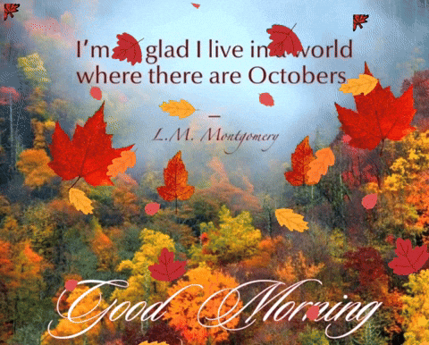 Forest Scene with L.M. Montgomery Quote