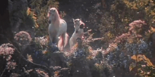 Forest Spring Flowers White Unicorns GIF