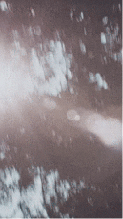 Forest Summer Love Vintage GIF
