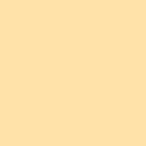 Forest Trees Climate Change Arbor Day GIF