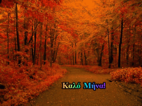 Forest With Kalo Miva Text GIF