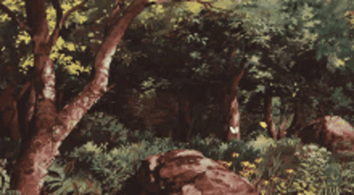 Forest With Trees And Rocks GIF