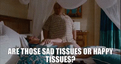 Forgetting Sarah Marshall Sad Or Happy Tissues GIF
