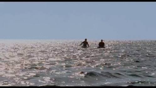 Forgetting Sarah Marshall Sailing At Sea GIF