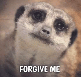 Sloth Forgive Me GIF