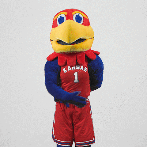 Formal Gracias 480 X 480 Gif GIF