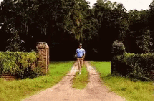Forrest Gump Omw Gif GIF