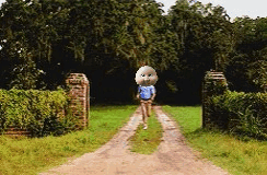 Forrest Gump With Baby Head Running GIF