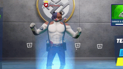 Fortnite Default Dance Meowscle GIF