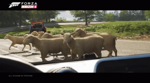Forza Horizon 4 Sheep Walking on Road
