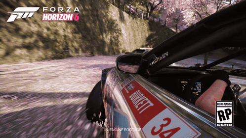 Forza Horizon 6 Car Driving Down Road