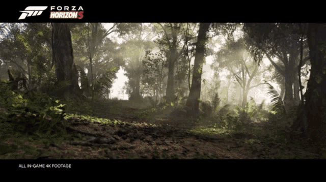 Forza Horizon5 Land Rover Defender110x Gif GIF