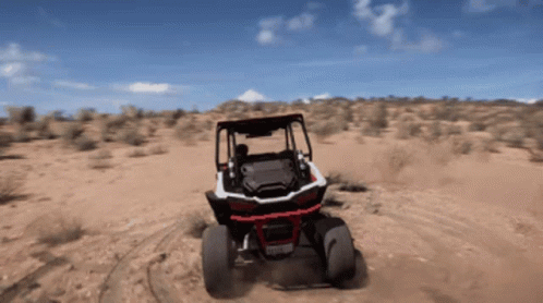 Forza Horizon5 Polaris Rzr Xp100eps GIF