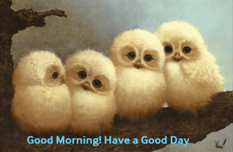 Four Baby Owls On Branch Saying Good Morning Have A Good Day GIF