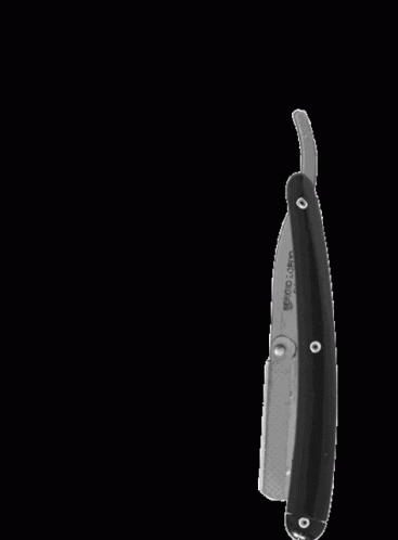Four Different Forms Of Blade GIF