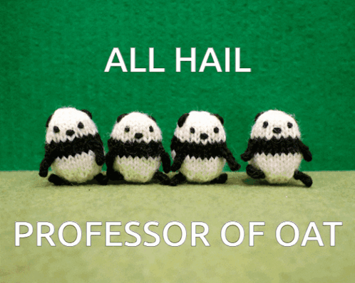 Four Knitted Panda Bears Are Lined Up In A Row With The Words All Hail Professor Of Oat Below Them GIF