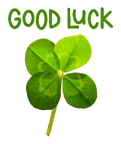 Four Leaf Clover Good Luck