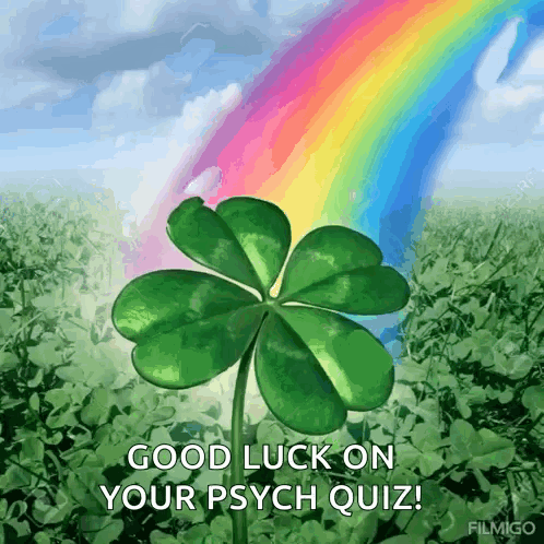 Four Leaf Clover In Field With Rainbow Good Luck On Your Psych Quiz GIF
