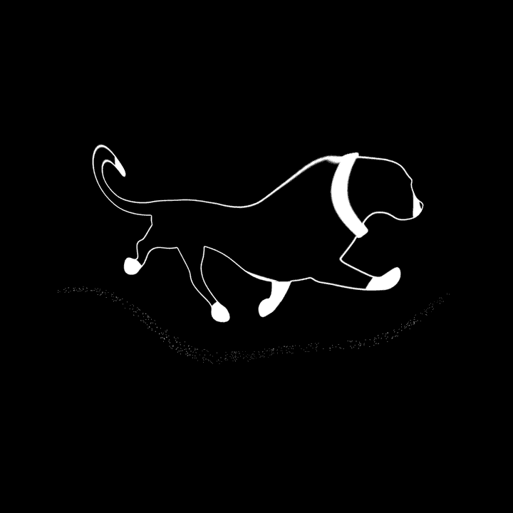 Four Legged Walk Cycle GIF