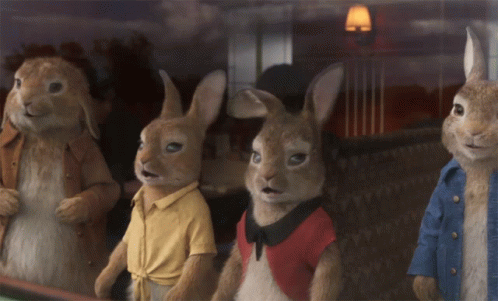 Four Stuffed Rabbits Looking Out Window GIF