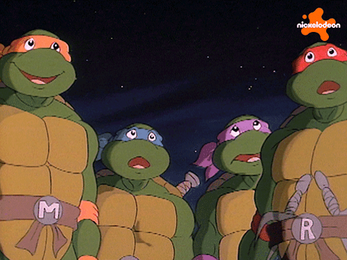 Four Teenage Mutant Ninja Turtles Standing Together