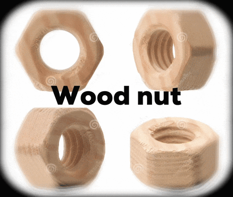 Four Wooden Nuts With Text Wood Nut