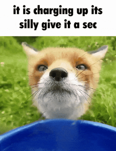 Fox Charging Up Its Silly Give It A Sec GIF