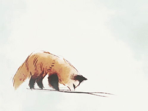 Fox Jumping in the Air