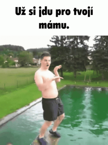 Fox Kicking Soccer Ball Go Czechia GIF