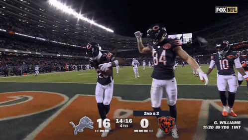 Fox NFL Bears Vs Detroit Lions GIF