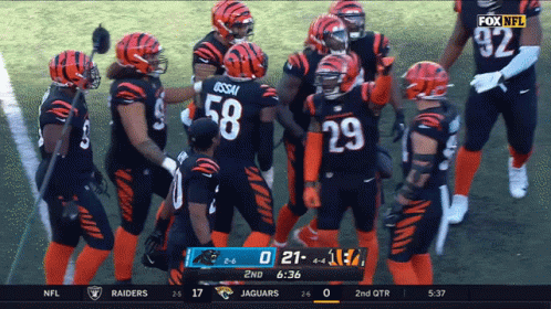 Fox NFL Broadcast Bengals Vs Jaguars GIF