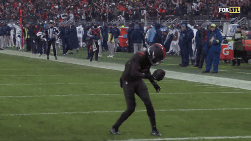 Fox NFL Broadcast Browns Vs Bengals GIF
