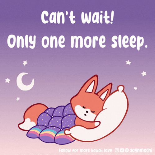 Fox Sleeping Can't Wait Only One More Sleep