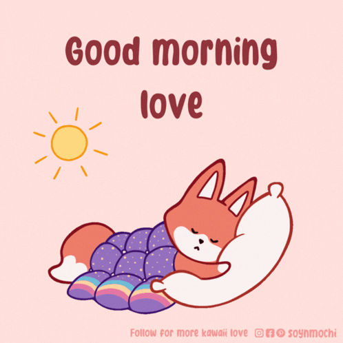 Fox Sleeping Good Morning Love GIF