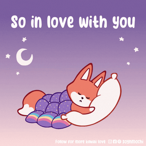 Fox Sleeping So In Love With You