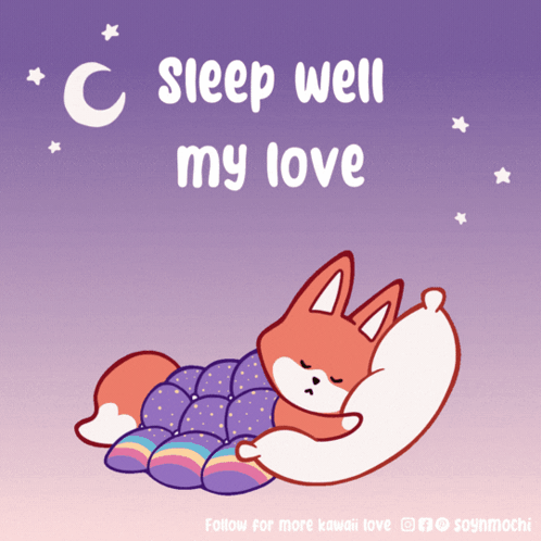 Fox Sleeping Under Blanket Sleep Well My Love