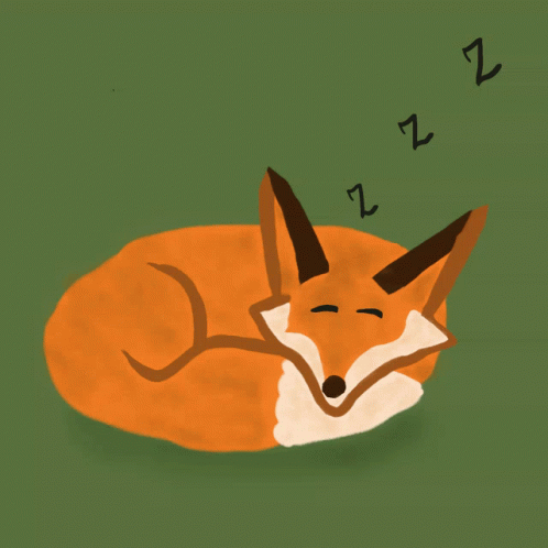 Fox Sleeping With Z's Flying Around Head