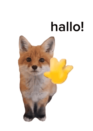 Fox With Hallo Written Above