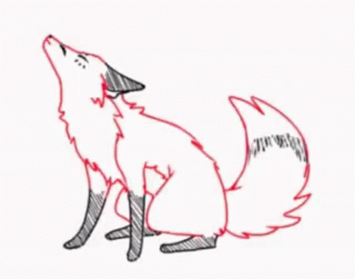 Fox With Long Tail