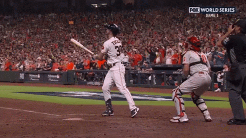 Fox World Series Game GIF
