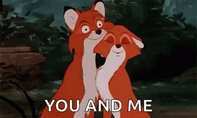 Fox You And Me Snuggles GIF