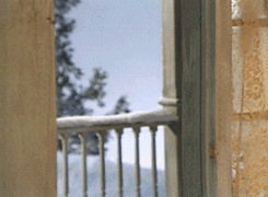 Fozzie Bear Icy Patch Slip GIF