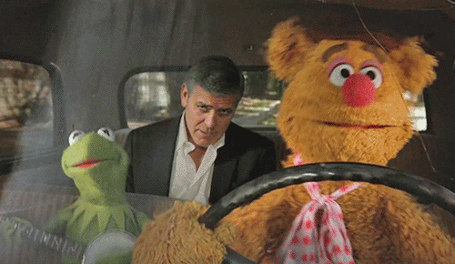 Fozzie Bear Kermit George Clooney GIF