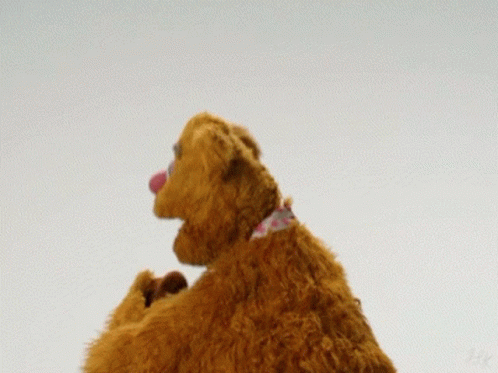 Fozzie Bear Lol Stop It GIF